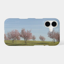 Row of Tree Blossoms