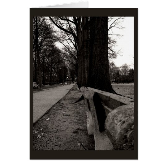 Row of Trees Card