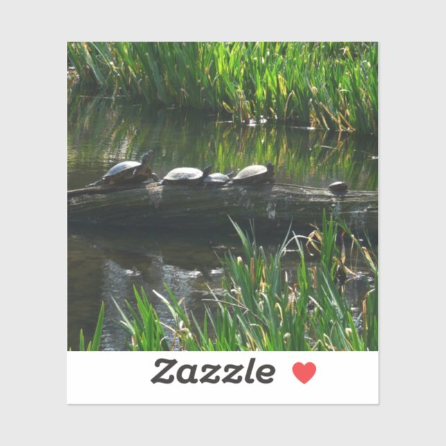 Row of Turtles Green Nature Photo (Sheet)