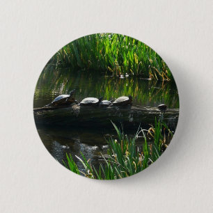 Row of Turtles Green Nature Photo 2 Inch Round Button