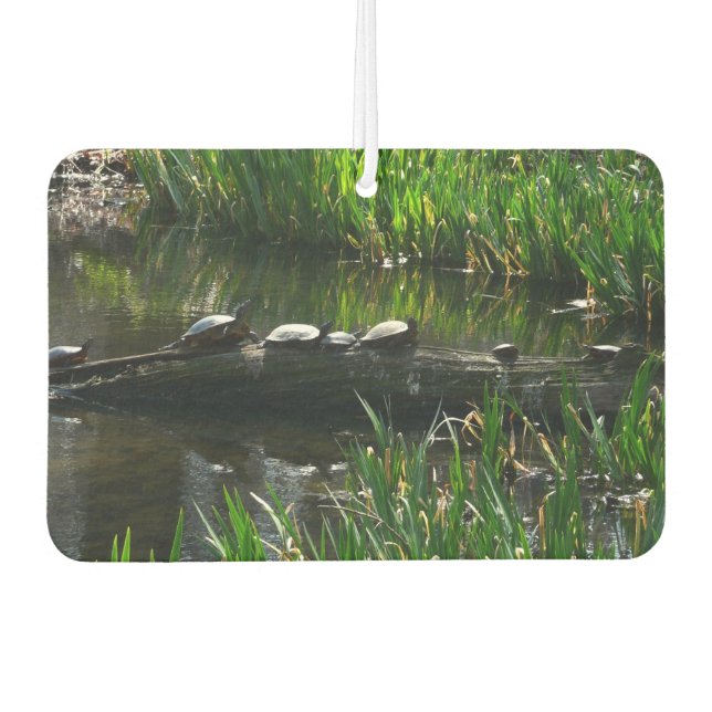 Row of Turtles Green Nature Photo Air Freshener (Front)