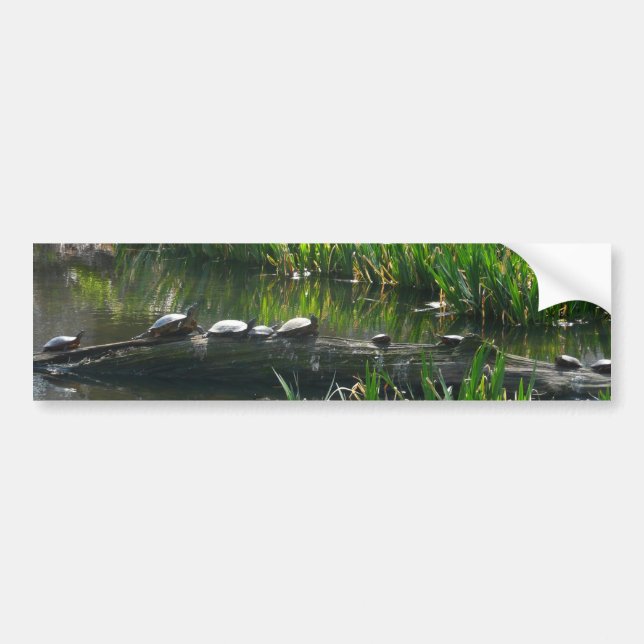 Row of Turtles Green Nature Photo Bumper Sticker (Front)