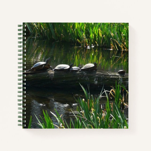 Row of Turtles Green Nature Photo Notebook (Front)