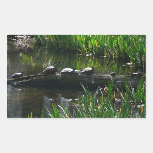 Row of Turtles Green Nature Photo Sticker