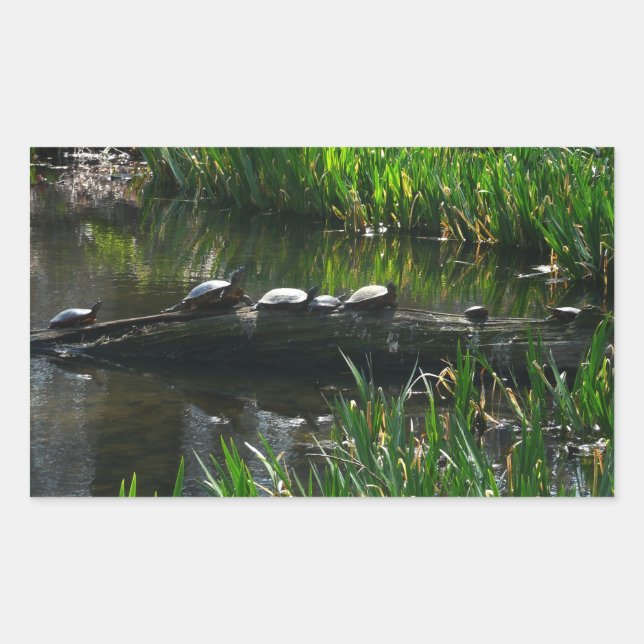 Row of Turtles Green Nature Photo Sticker (Front)