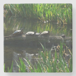 Row of Turtles Green Nature Photo Stone Coaster