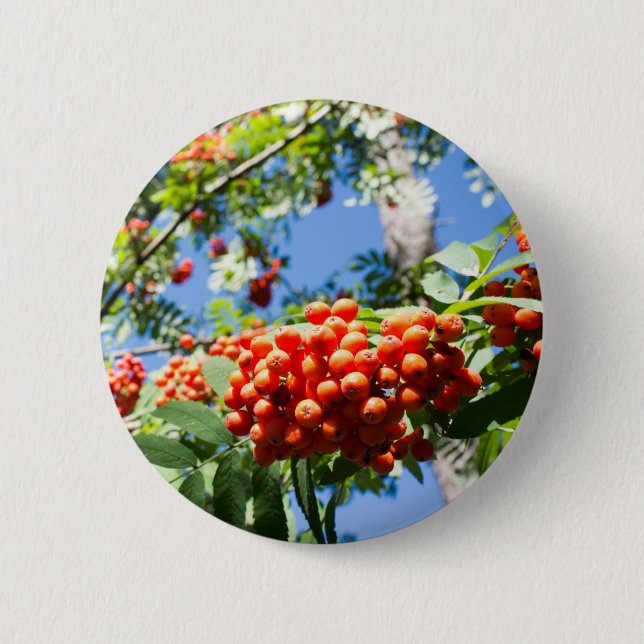 Rowan 2 Inch Round Button (Front)
