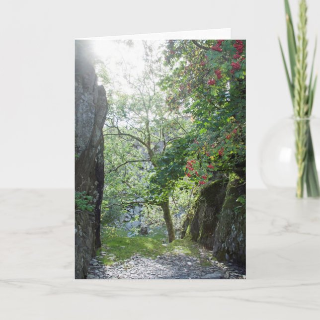 Rowan Tree Tilberthwaite Quarry Card (Front)