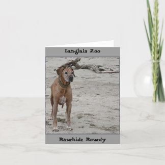 Rowdy, Rawhide Rowdy, Langlais Zoo Card