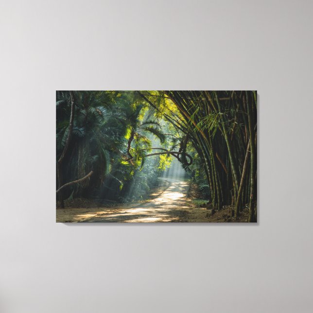 Rows of Bamboo Canvas Print (Front)