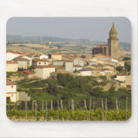 Rows of grape vines in the foreground frame the