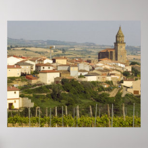 Rows of grape vines in the foreground frame the poster