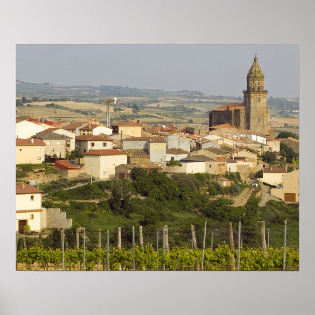 Rows of grape vines in the foreground frame the poster (Front)