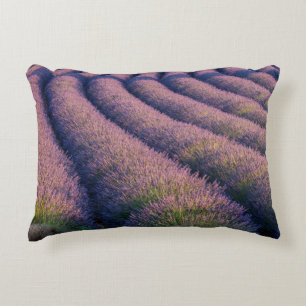 Rows of lavender in Provence Decorative Pillow