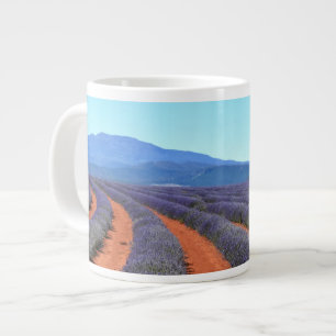Rows of Lavender Plants in Bloom, Tasmania Mug