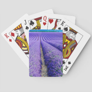 Rows of Lavender, Provence, France Playing Cards