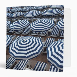 Rows Of Striped Beach Umbrellas With Sun Beds Binder