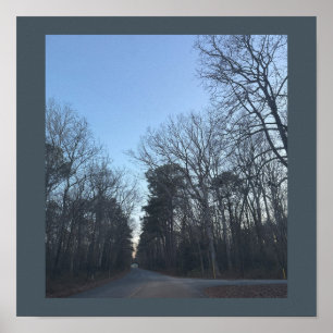 Rows of Trees Poster