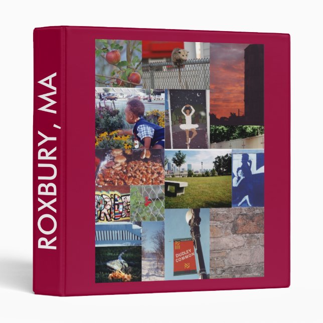 Roxbury, Massachusetts Binder (Front/Spine)