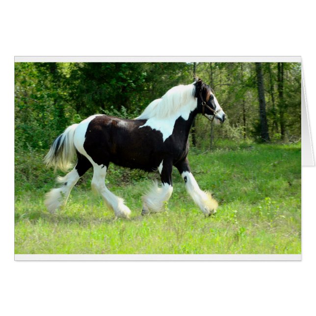 Roxie (Front Horizontal)