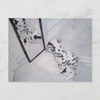 Roxie the Dalmatian