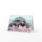 Roxy the Turtle Greeting Card