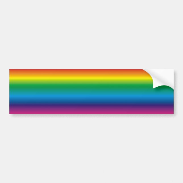 ROY G BIV BUMPER STICKER (Front)