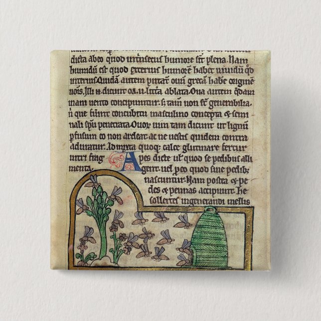 Roy Page of text with illustration of 2 Inch Square Button (Front)