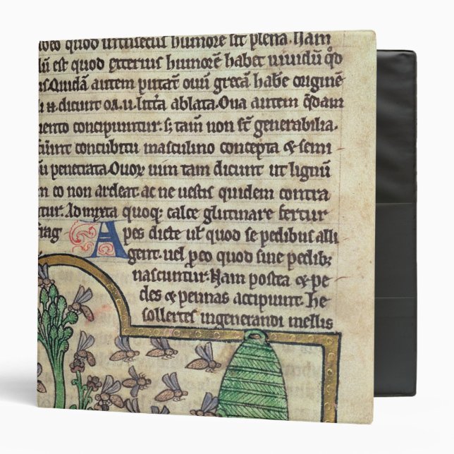 Roy Page of text with illustration of Binder (Front/Inside)