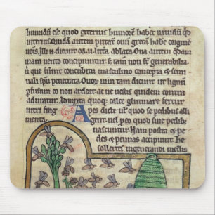Roy Page of text with illustration of Mouse Pad