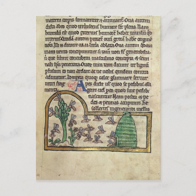 Roy Page of text with illustration of Postcard (Front)