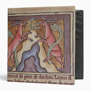 Roy Wild goats from a Bestiary Binder