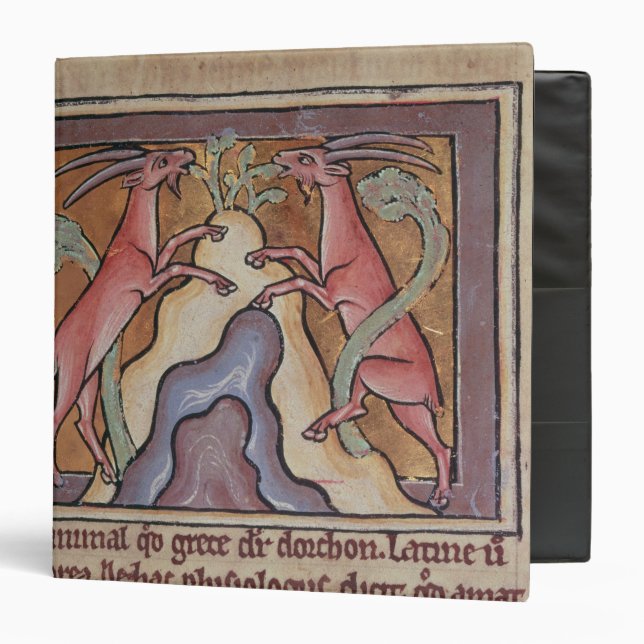 Roy Wild goats from a Bestiary Binder (Front/Inside)