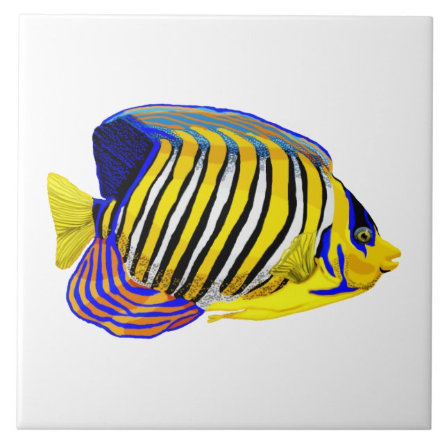 Royal Angelfish Tile (Front)