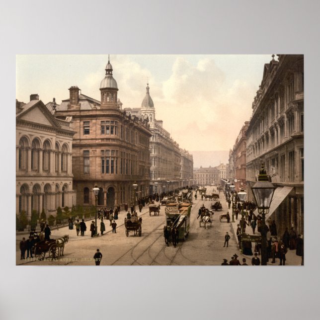 Royal Avenue Belfast Print (Front)