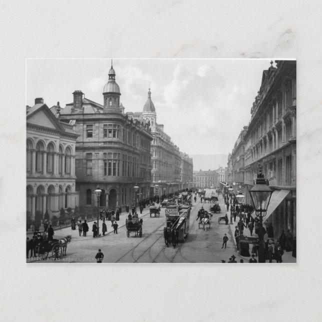 Royal Avenue Belfast, Vintage Northern Ireland Postcard (Front)
