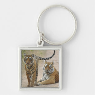 Royal Bengal Tiger and young, Ranthambhor Keychain