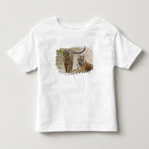 Royal Bengal Tiger and young, Ranthambhor Toddler T-shirt