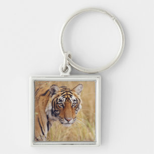 Royal Bengal Tiger Keychain