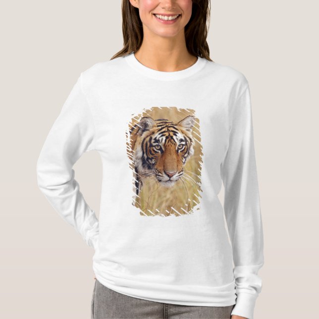Royal Bengal Tiger T-Shirt (Front)