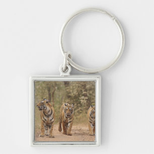 Royal Bengal Tigers on the track, Ranthambhor Keychain