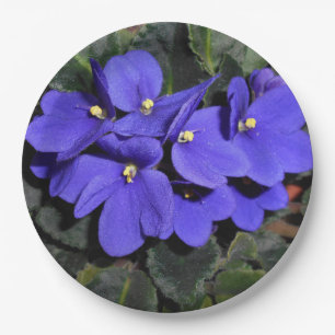 Royal Blue African Violet Paper Plate