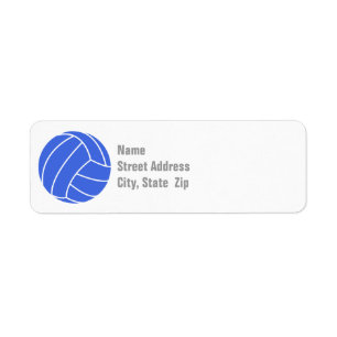 Royal Blue and White Volleyball