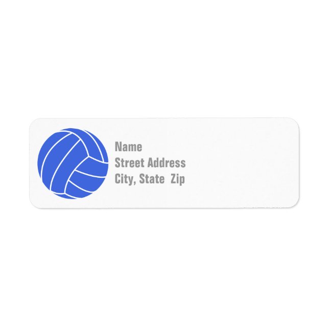 Royal Blue and White Volleyball (Front)
