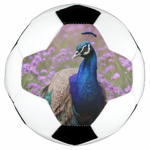 Royal Blue: Blue Peacock In Lavender Field, Soccer Ball