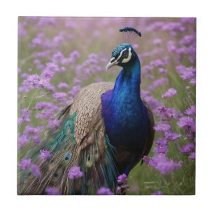 Royal Blue: Blue Peacock In Lavender Field, Tile