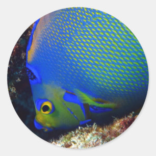 Royal Blue Classic Round Sticker