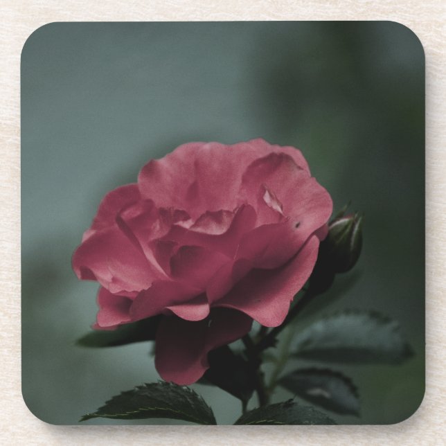 Royal Blush Cork Coaster (Front)