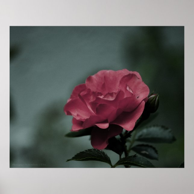 Royal Blush Print (Front)