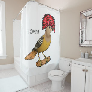 Royal flycatcher bird cartoon illustration